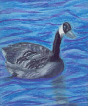 goose.jpg