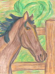 horseportrait.jpg