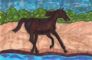 newhorse1.jpg