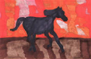 newhorse3.jpg